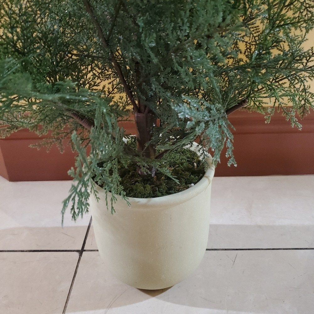 Fake Plant - Picture 4 of 6